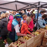 5 300 biegaczy na starcie KRAKÓW BUSINESS RUN doładowało się owocową energią – [FOTO]