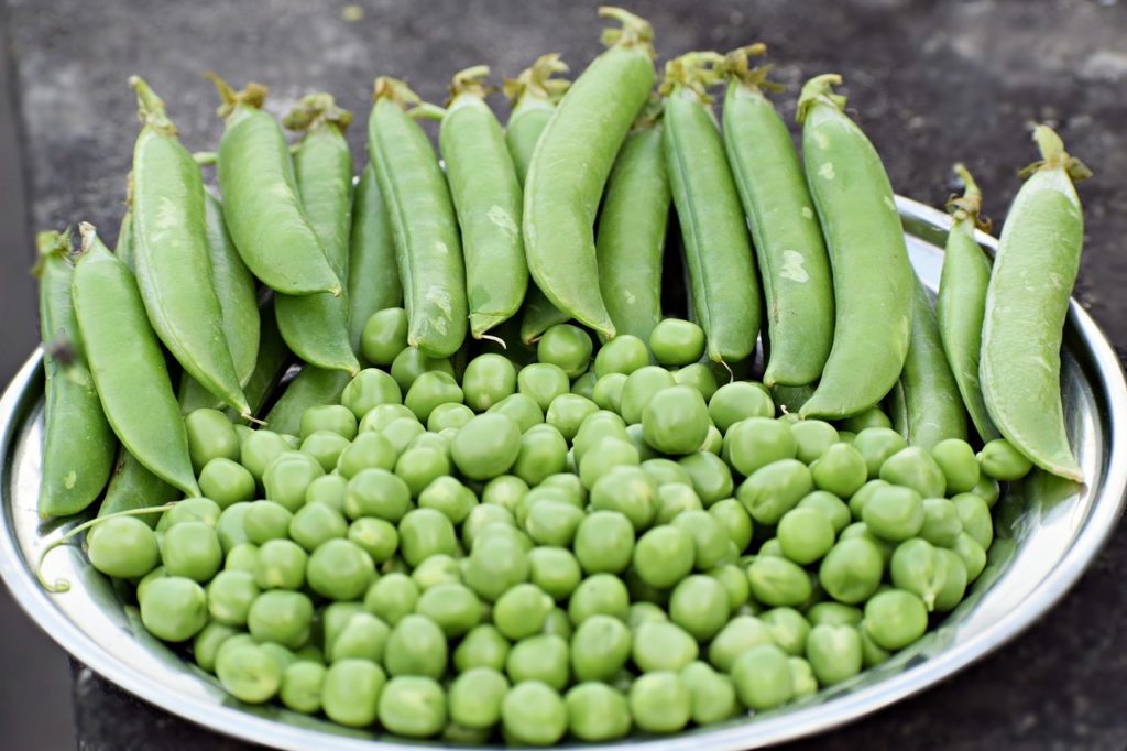 zielone warzywa bogate w żelazo Dailyfruits