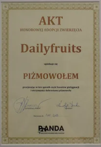 ZOO Warszawa - piżmowół Rambo