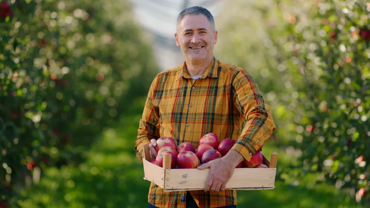Sadownik z skrzynką świeżych jabłek - certyfikowani dostawcy DailyFruits